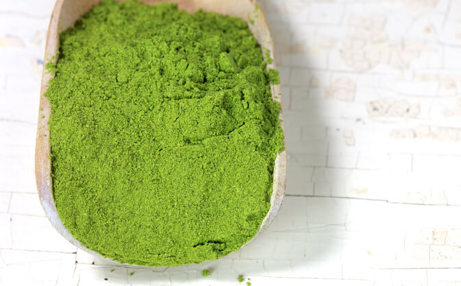 moringa powder on a wooden spoon
