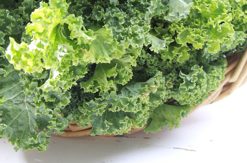 freshly picked kale 