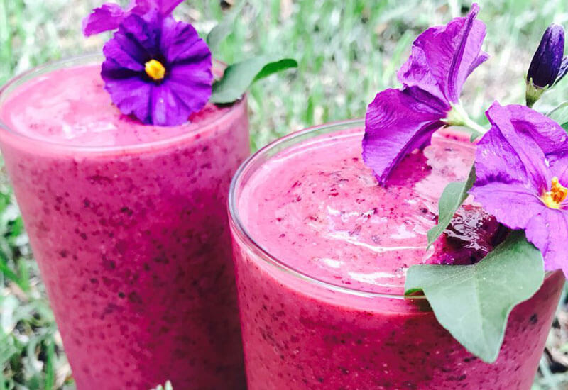 mulberry smoothie in a bowl