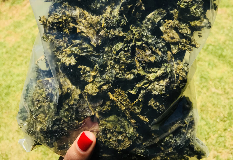 antonia holding a bag of kale chips