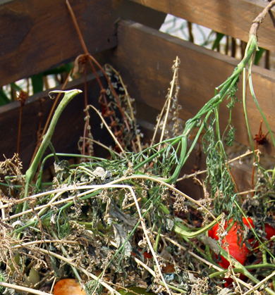 Antonia in her urbam garden